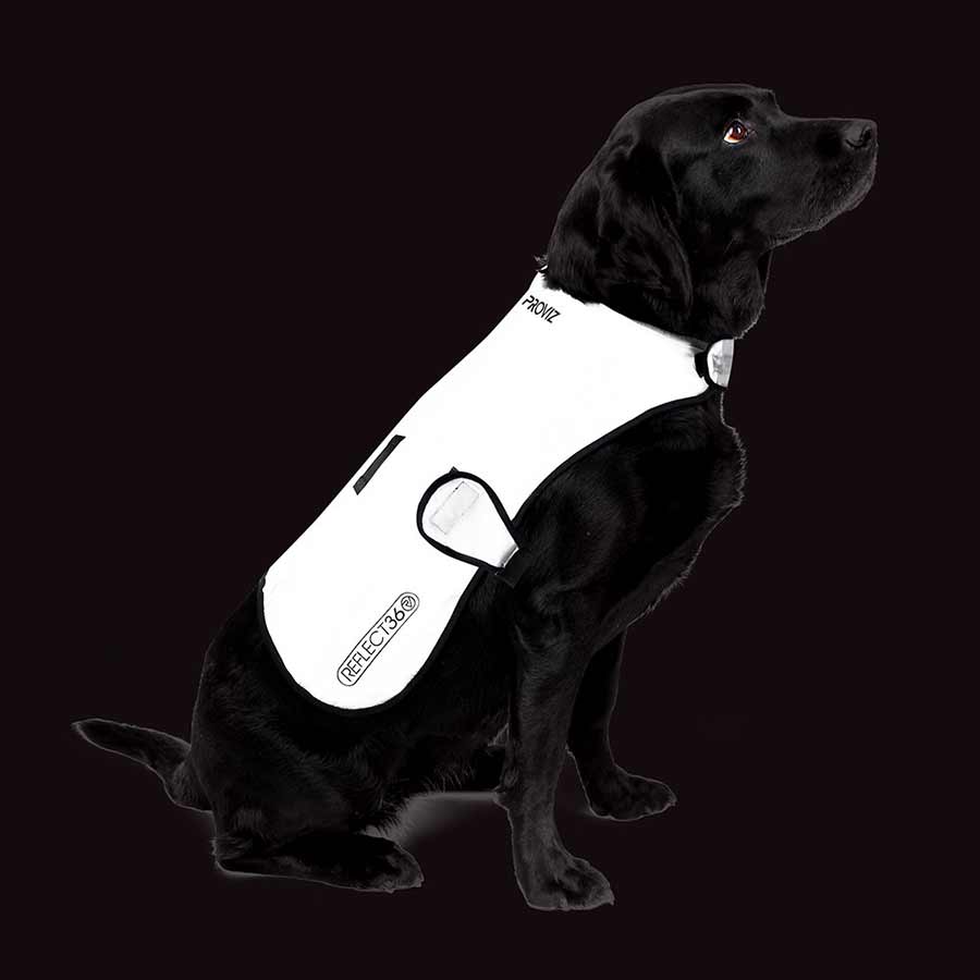 Proviz - REFLECT360 Dog Cover